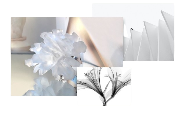 A collage of artistic elements including a white floral decoration, geometric paper folds, and a black and white illustration of a plant.