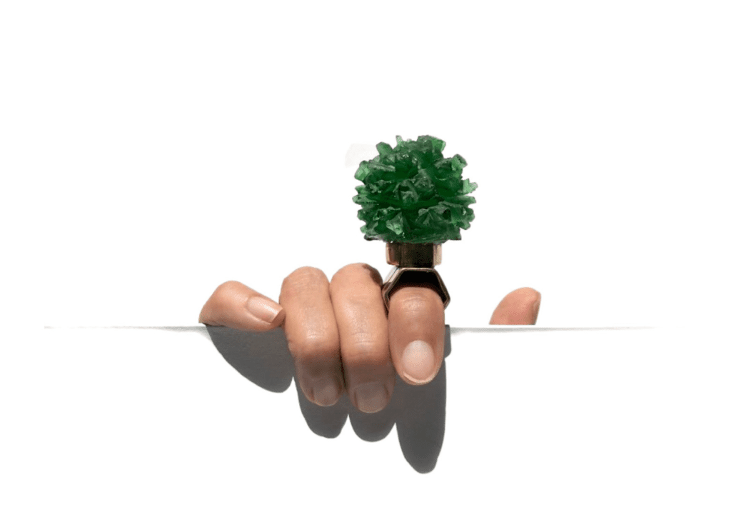 A hand holding onto a glass with a plant in it