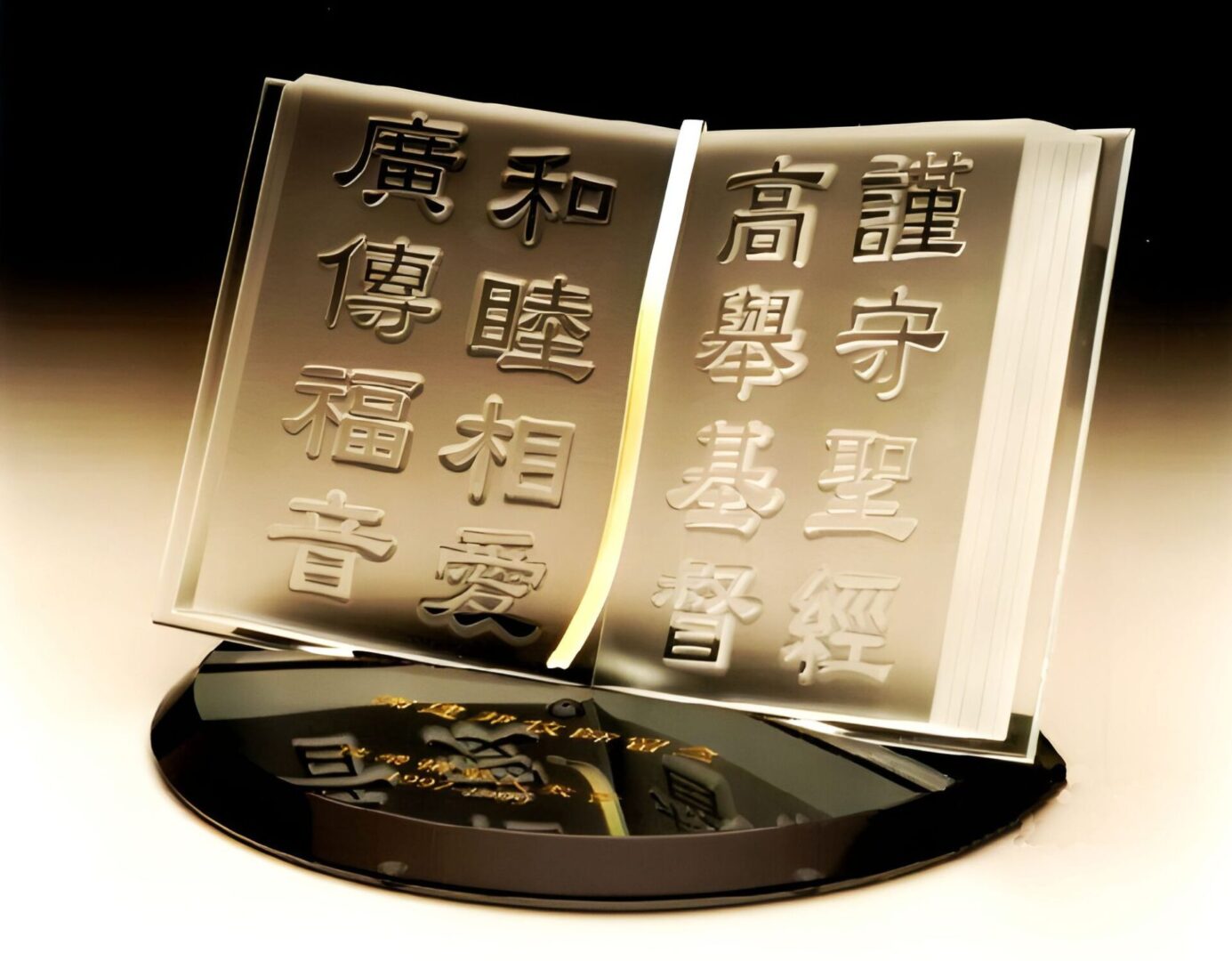 A book with chinese writing on it